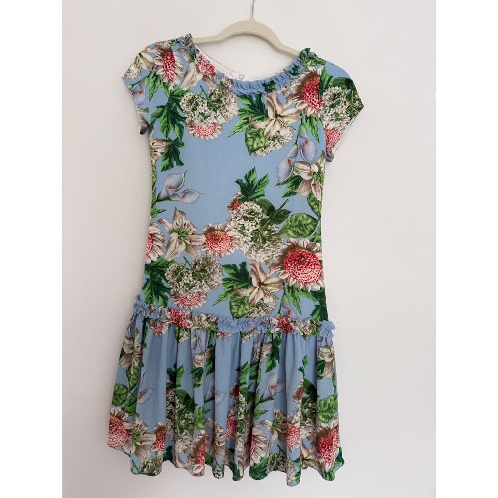 Helena Girls Size 14 Floral Ruffle Trim Short Sleeve Drop Waist Dress Blue